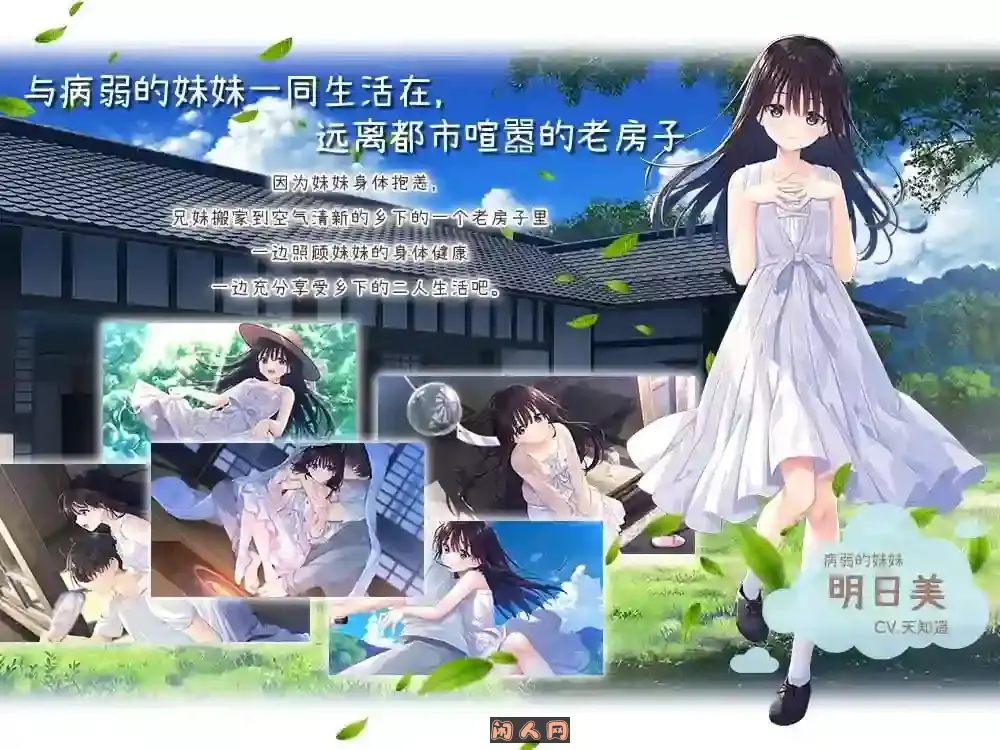 [RPG游戏]痴情哥哥与病弱妹妹的乡间生活Steam官方中文步兵版 ACG电脑端 第3张